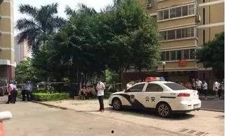 惠州良井爆料事件最新,真相揭开，网络舆论的力量与责任