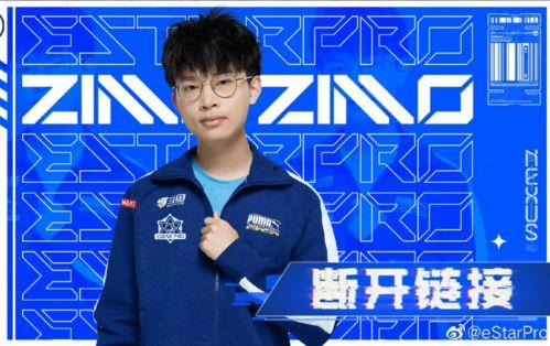 wb训练赛最新爆料,神秘阵容揭秘，巅峰对决即将上演！